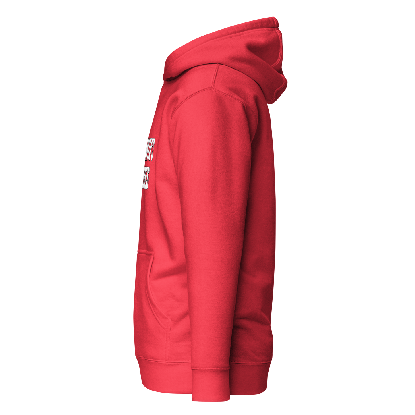 Santa’s Vibes Hoodie