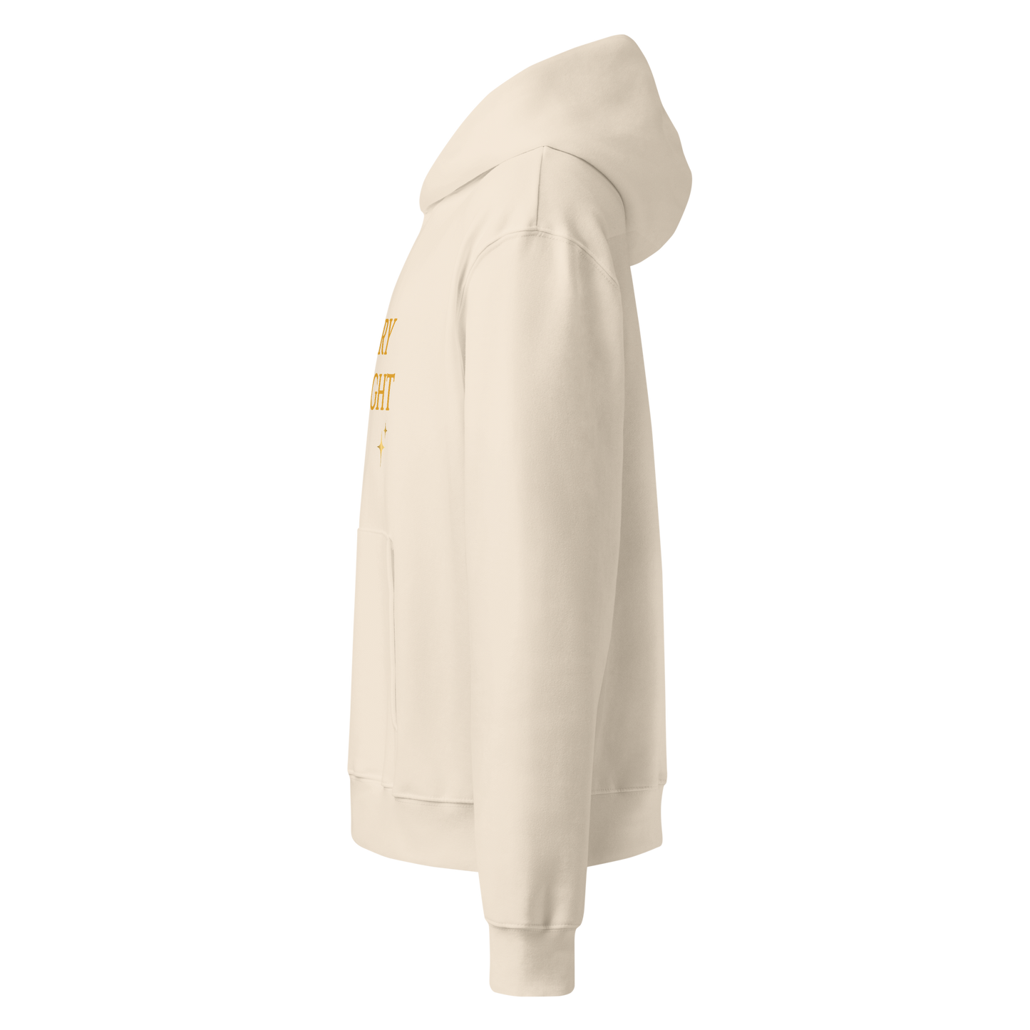 Merry & Bright Hoodie